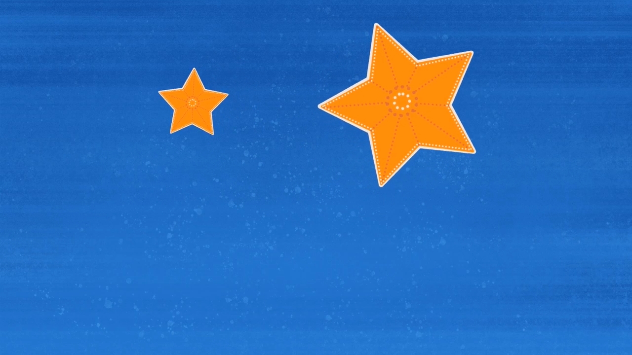 Starfish Initiative